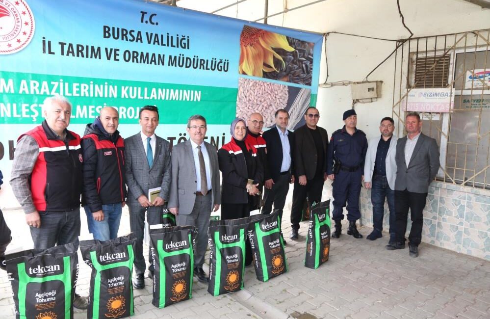 Tohum dağıtıldı. Mudanya Çayönü Mahallesi'nde yağlık ay çiçek tohumu dağıtımı yapıldı