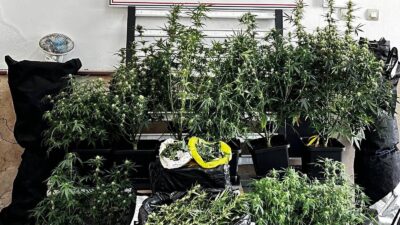 Bursa’da jandarma ekiplerinin düzenlediği uyuşturucu operasyonunda kilolarca madde ele geçirildi,