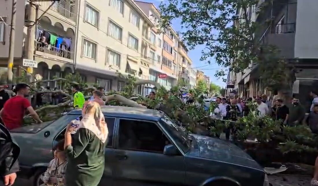 Bursa’nın Karacabey ilçesinde devrilen ağacın altında kalan motosiklet sürücüsü ağır