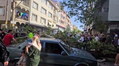 Bursa’nın Karacabey ilçesinde devrilen ağacın altında kalan motosiklet sürücüsü ağır