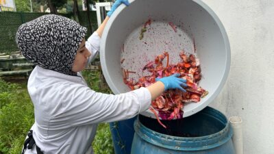Bursa’da öğretmen ve öğrenciler, meyve-sebze atıklarını turşu suyuyla fermente ederek