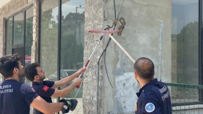 Bursa’nın Nilüfer ilçesinde bir iş yerine giren yılan kısa süreli