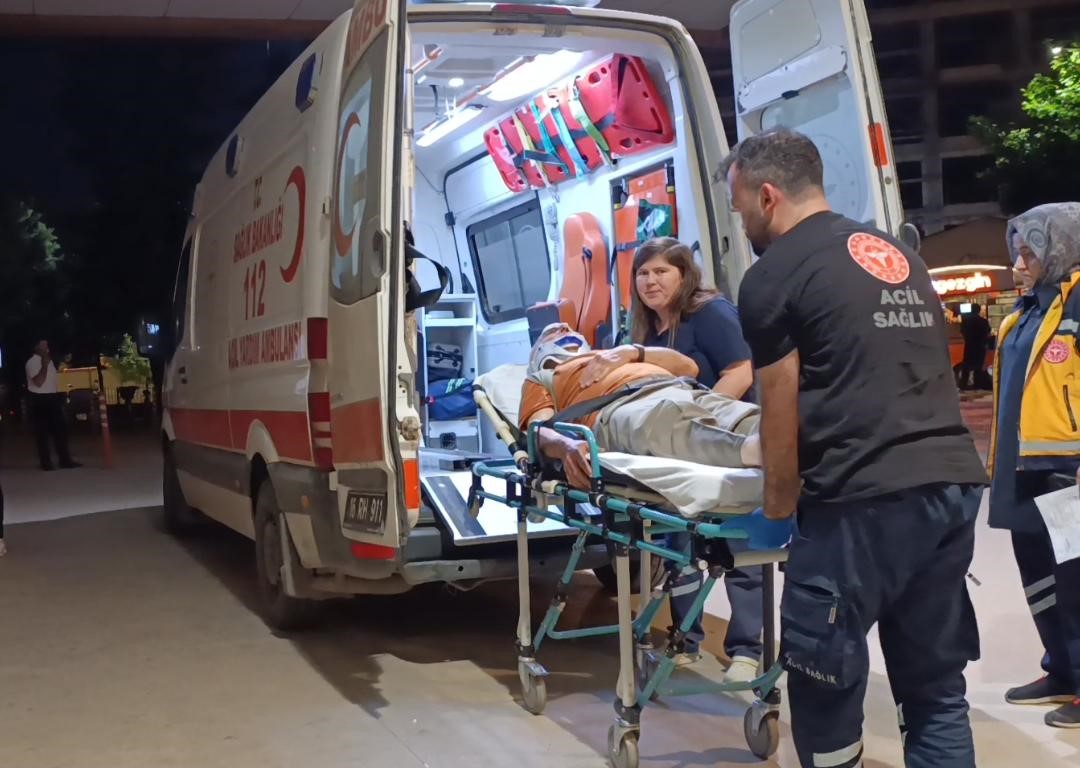 Bursa'nın İnegöl ilçesinde erik toplamak için çıktığı ağaçtan düşen 70