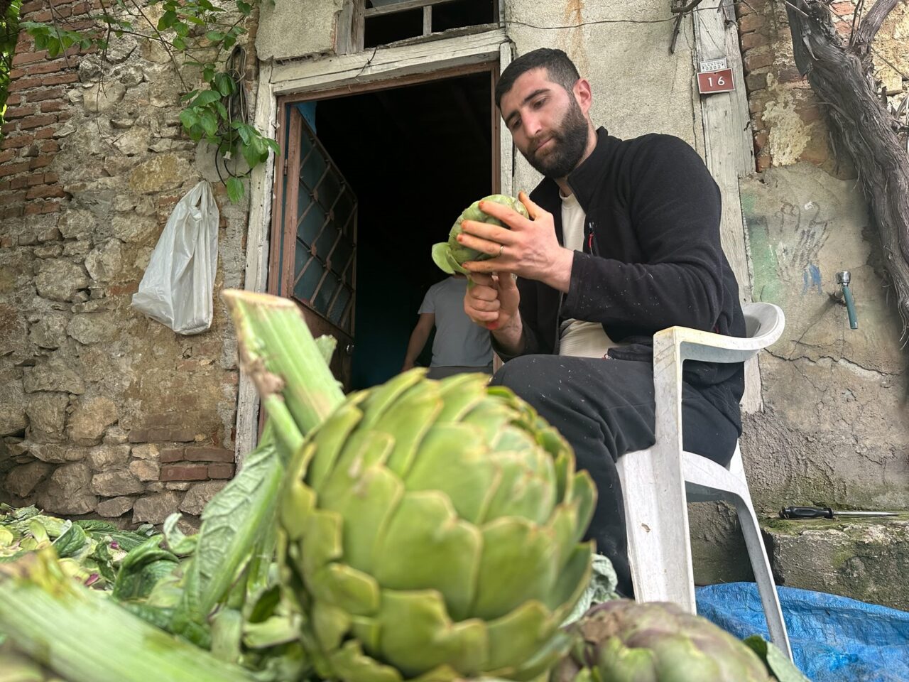 Enginar soyarak ayda 240 bin lira kazanıyor 2 Bülten Medya -