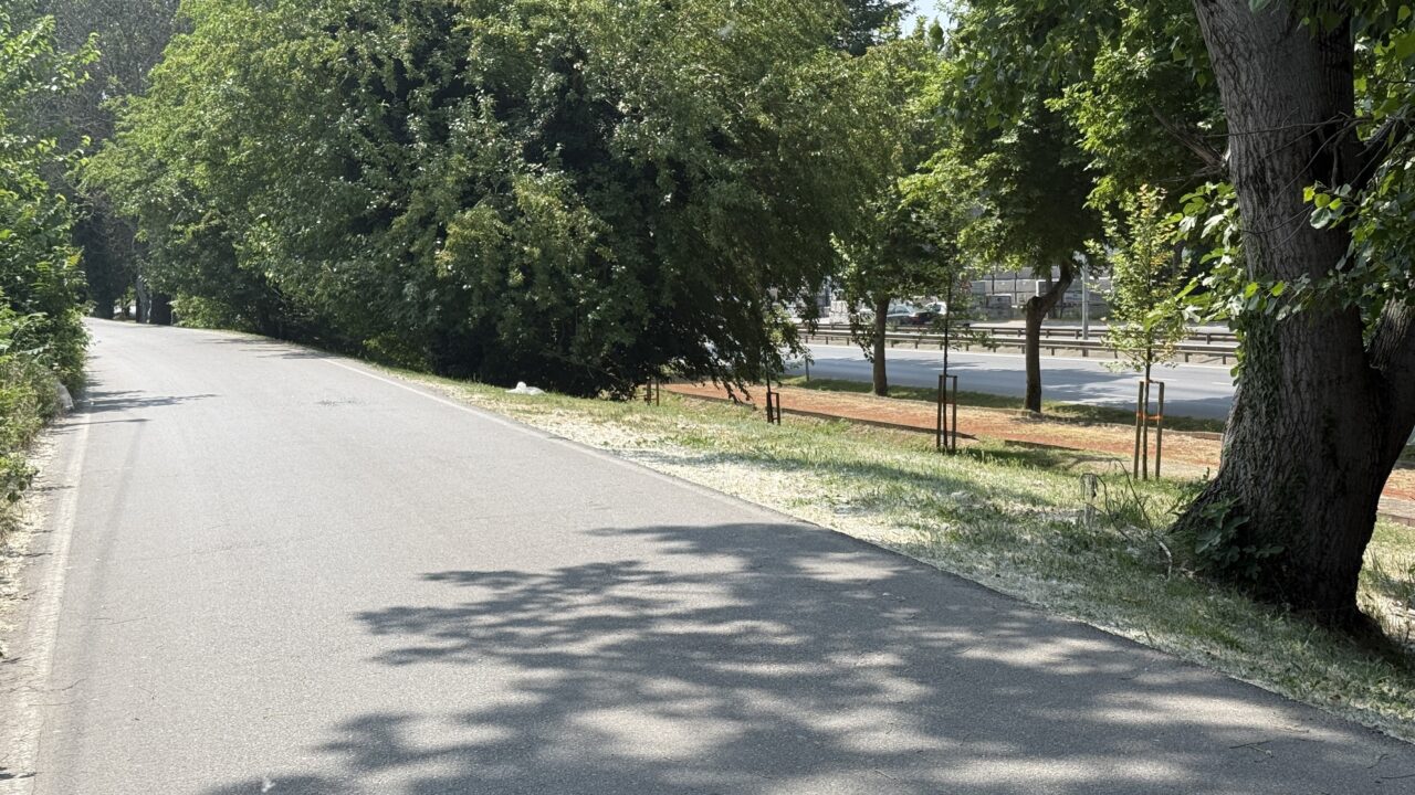 Otomobildeki görüntü dehşete düşürdü! 1 Bülten Medya -