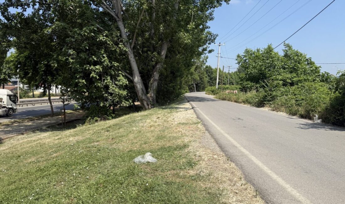 Otomobildeki görüntü dehşete düşürdü! Sakarya’nın Adapazarı ilçesinde park halindeki bir otomobilde silahla vurulmuş halde