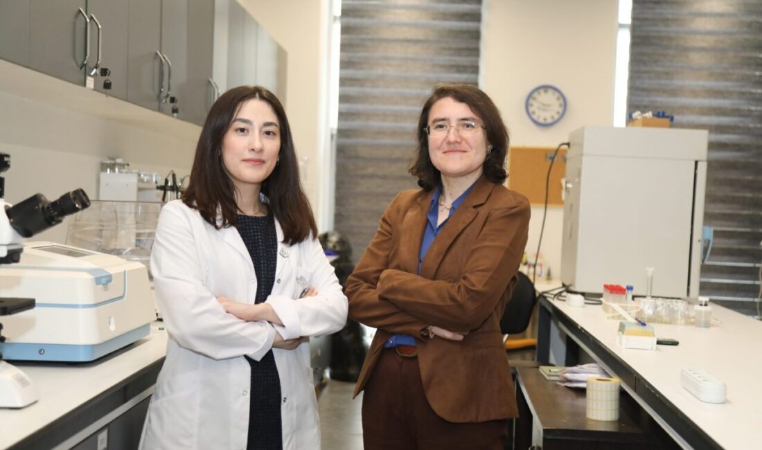Bursa Teknik Üniversitesi'nde geliştirilen projeyle zeytin budama atıkları, suyu tutan
