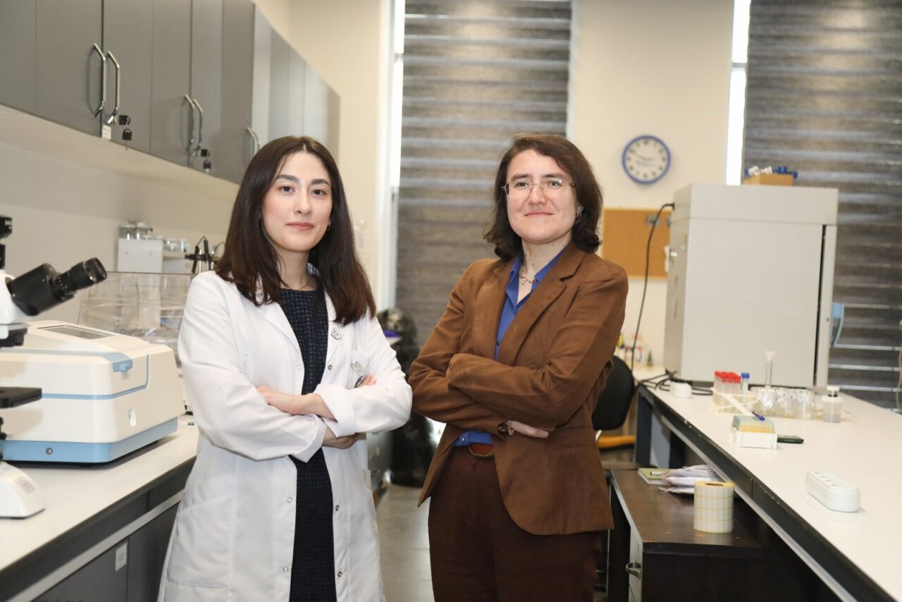 Bursa Teknik Üniversitesi'nde geliştirilen projeyle zeytin budama atıkları, suyu tutan