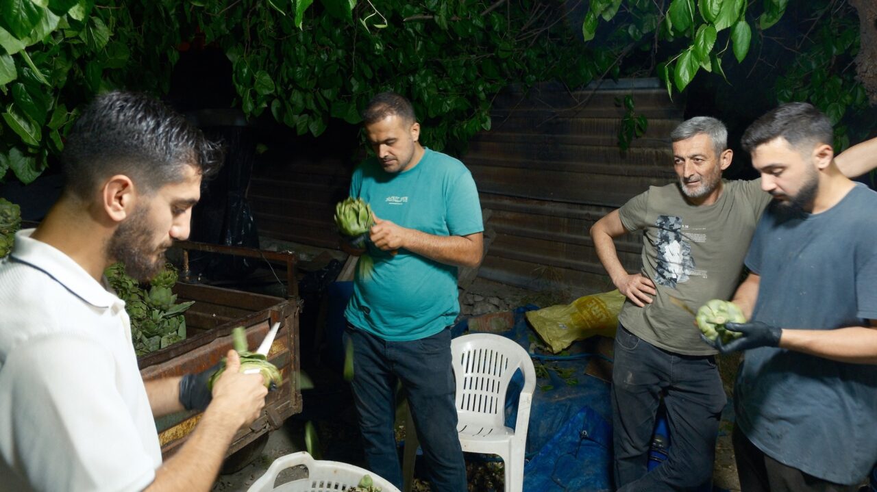 10 saniyede bir enginar soyuyor 2 Bülten Medya -