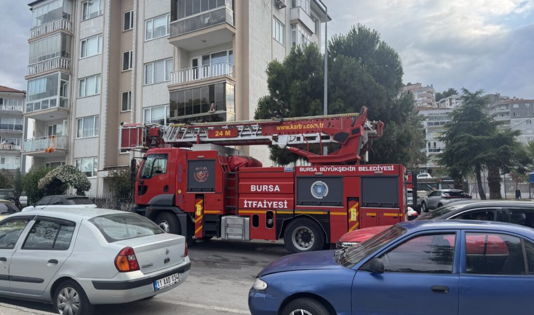 Kargalar kurtarma operasyonunu kuşattı Bursa'nın Mudanya ilçesinde ağaca takılan bir kargayı kurtarmaya çalışan itfaiye