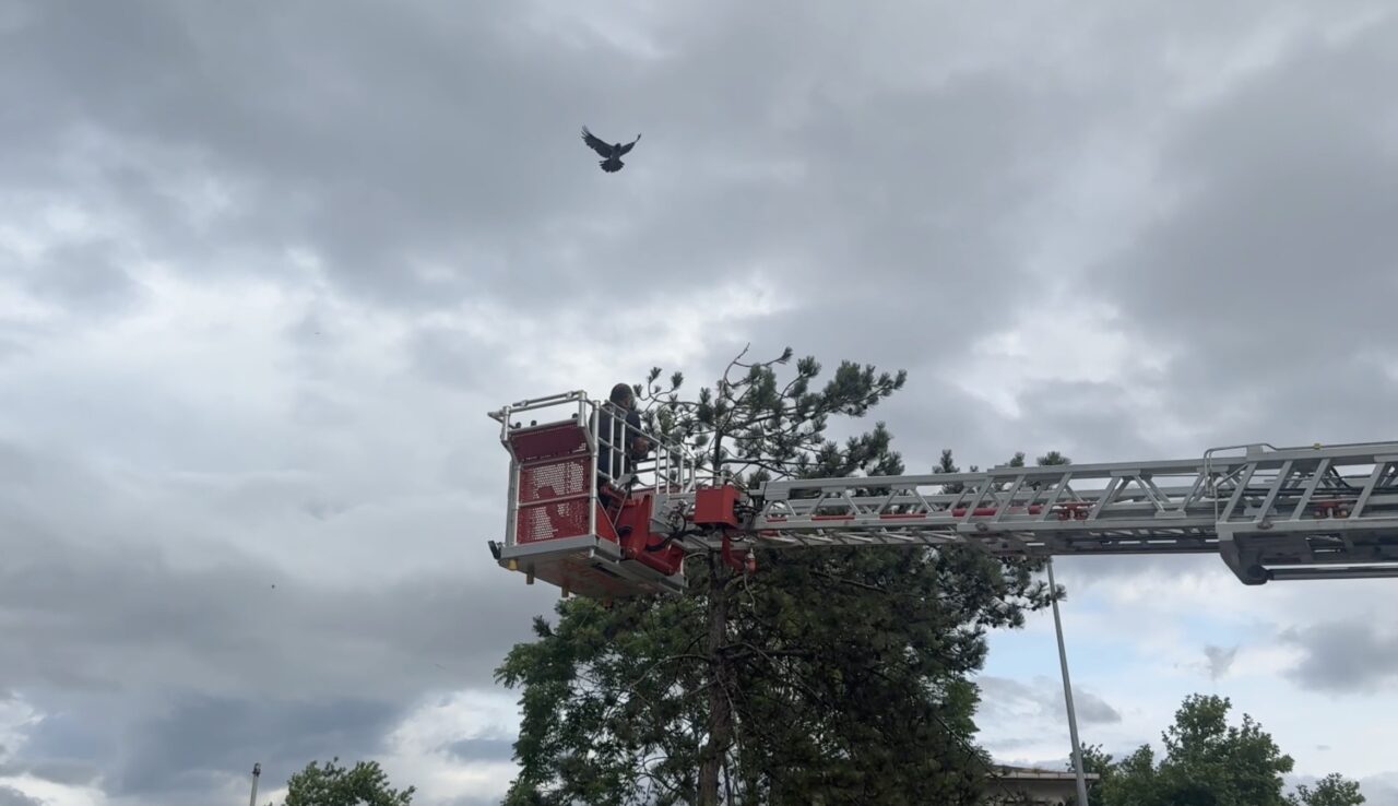 Kargalar kurtarma operasyonunu kuşattı 1 Bülten Medya -