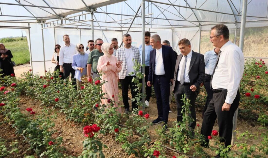 Kocaeli'de girişimci Fatma Çelebi, yüzde 50 hibe desteğiyle kentin ilk