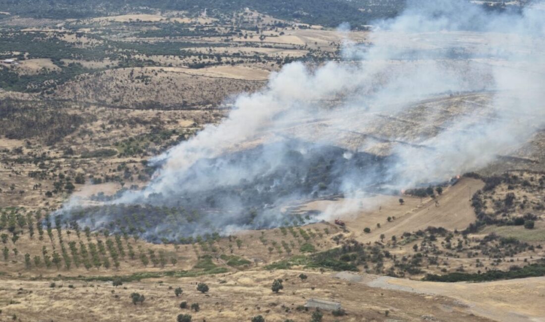 Ezine’de orman yangını kontrol altına alındı Çanakkale’nin Ezine ilçesinde çıkan orman yangını, havadan ve karadan yürütülen
