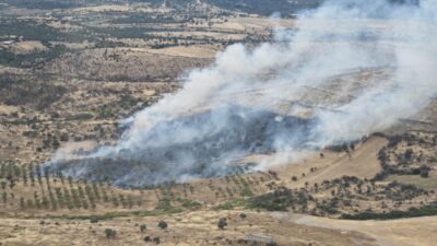 Çanakkale’nin Ezine ilçesinde çıkan orman yangını, havadan ve karadan yürütülen