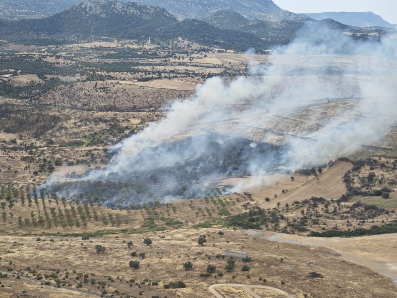 Çanakkale’nin Ezine ilçesinde çıkan orman yangını, havadan ve karadan yürütülen