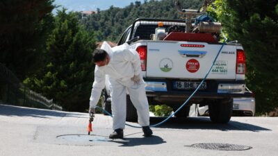Osmangazi Belediyesi, 136 mahallede haşere ve kemirgenlere karşı ilaçlama çalışmalarını