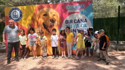 Yıldırım Belediyesi Sahipsiz Sokak Hayvanları Tedavi Merkezi ve Doğal Yaşam