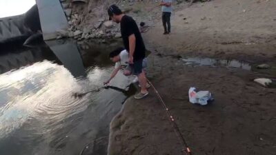 Edirne’de Meriç Nehri’nde balık tutan vatandaşlar, oltaya takılan dev turna