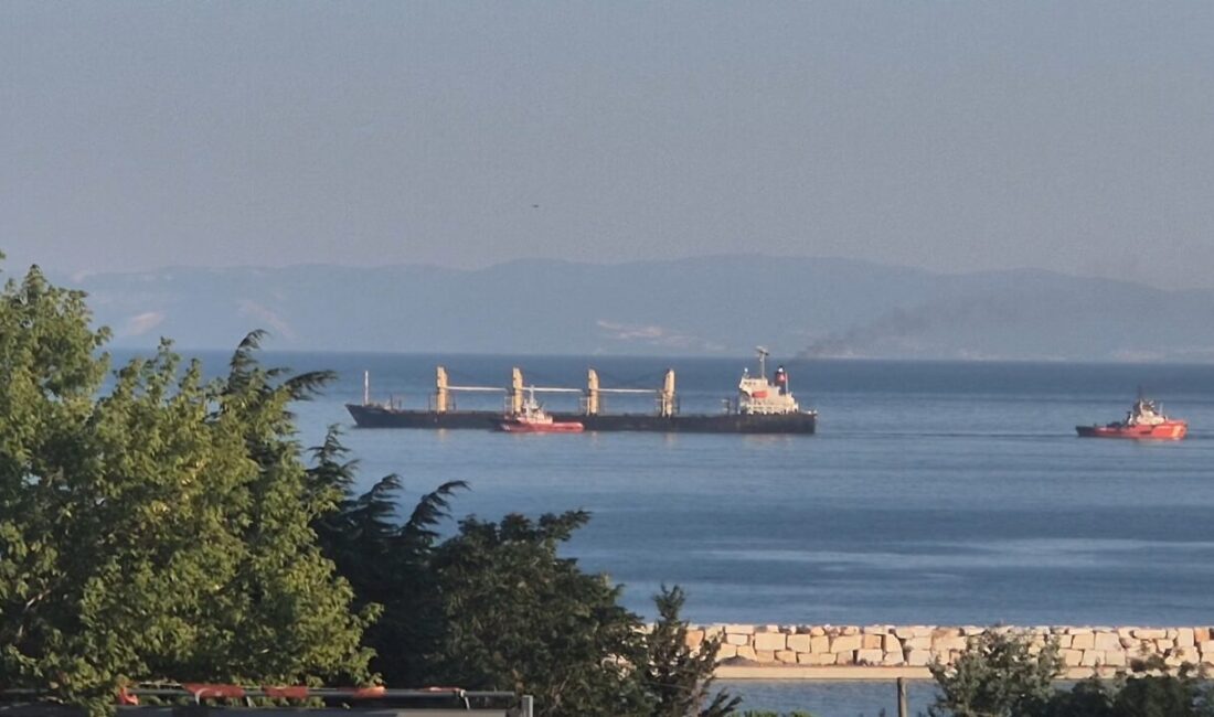 Tekirdağ'ın Süleymanpaşa ilçesi açıklarında 4 gün önce karaya oturan çeltik