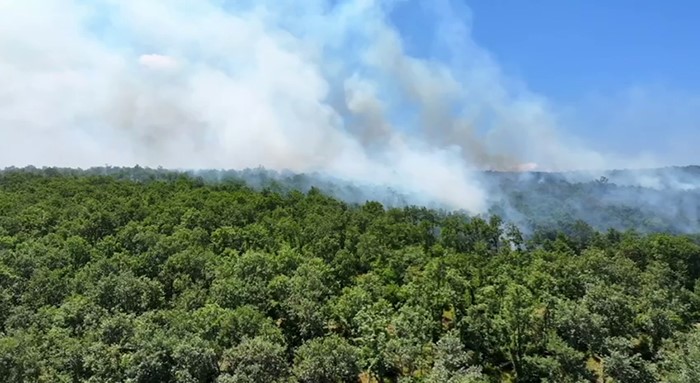 Çatalca'da orman alarmı! Alevler 2 saatte söndürüldü 1 Bülten Medya -