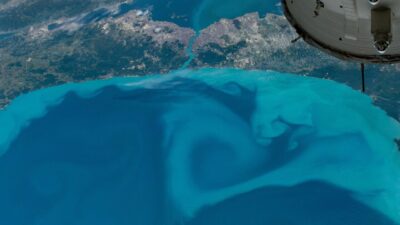 NASA, Karadeniz, Marmara Denizi ve İstanbul Boğazı'nda oluşan turkuaz renk
