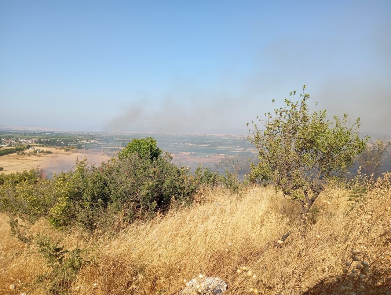 Balıkesir'in Altıeylül ilçesinde zirai ve otluk alanda çıkan yangın, çok