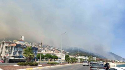 Balıkesir’in Edremit ilçesine bağlı Altınoluk Mahallesi’ndeki orman yangını ile ilgili
