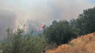 Çanakkale’nin Ayvacık ilçesinde arazide çıkan yangın ormana sıçradı. Orman Bölge