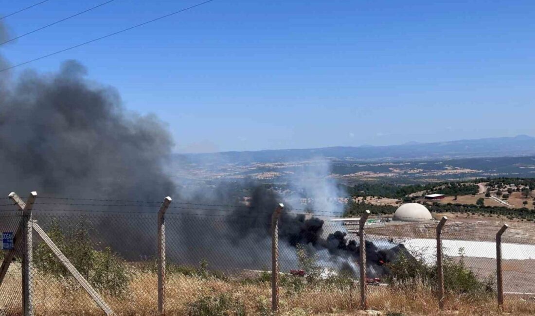 Çanakkale’nin Ayvacık ilçesinde katı atık ve bertaraf tesisinde çıkan yangına