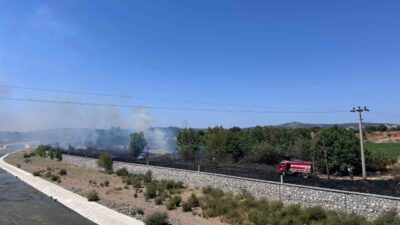 Çanakkale’nin Ayvacık ilçesinde otluk alanda çıkan yangın ekiplerin müdahalesiyle kontrol