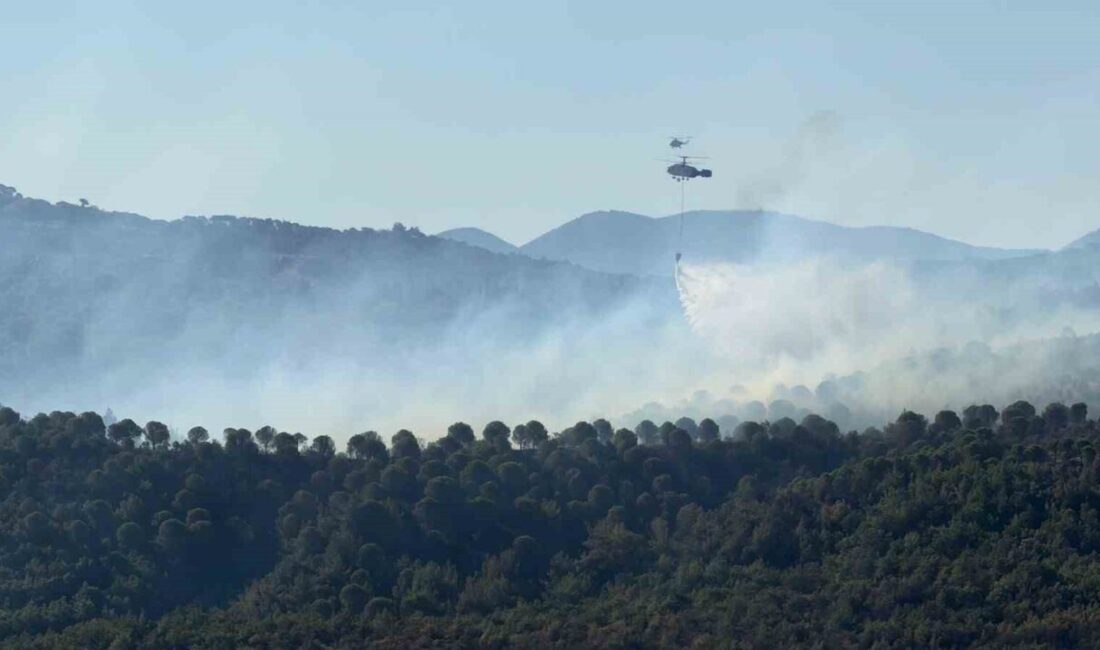 Balıkesir Gömeç yangını 3. gününde. Balıkesir’in Gömeç ilçesinde önceki gün çıkan orman yangını 3. günde