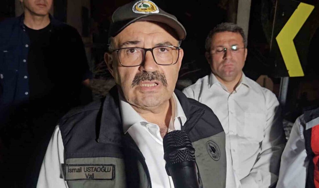 Balıkesir Valisi İsmail Ustaoğlu, yangından etkilenen Tıfıllar Mahallesi’nde incelemede bulundu.