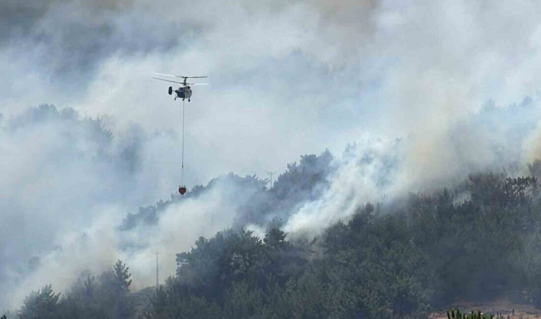 Balıkesir’de tek yangın cephesi: Gömeç Balıkesir’de son 3 günde kırsal bölgede çıkan arazi ve orman