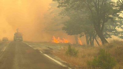 Balıkesir’in Ayvalık ve Gömeç ilçelerinde başlayan, rüzgarın etkisiyle büyüyerek İzmir’in