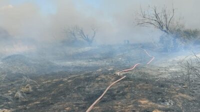 Balıkesir’in Bandırma ilçesi Bereketli Mahallesi yakınlarında çıkan arazi yangını, ekiplerin