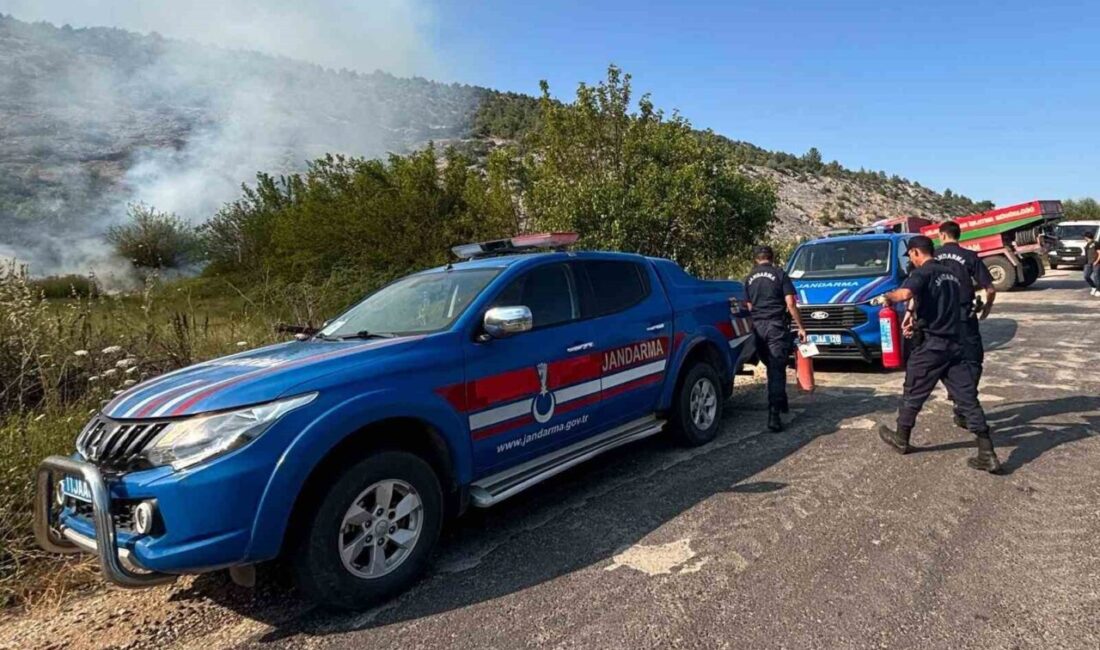 Bilecik’te, çıkan kıvılcımın yangına sebep olduğu biçme makinesinin operatörü gözaltına