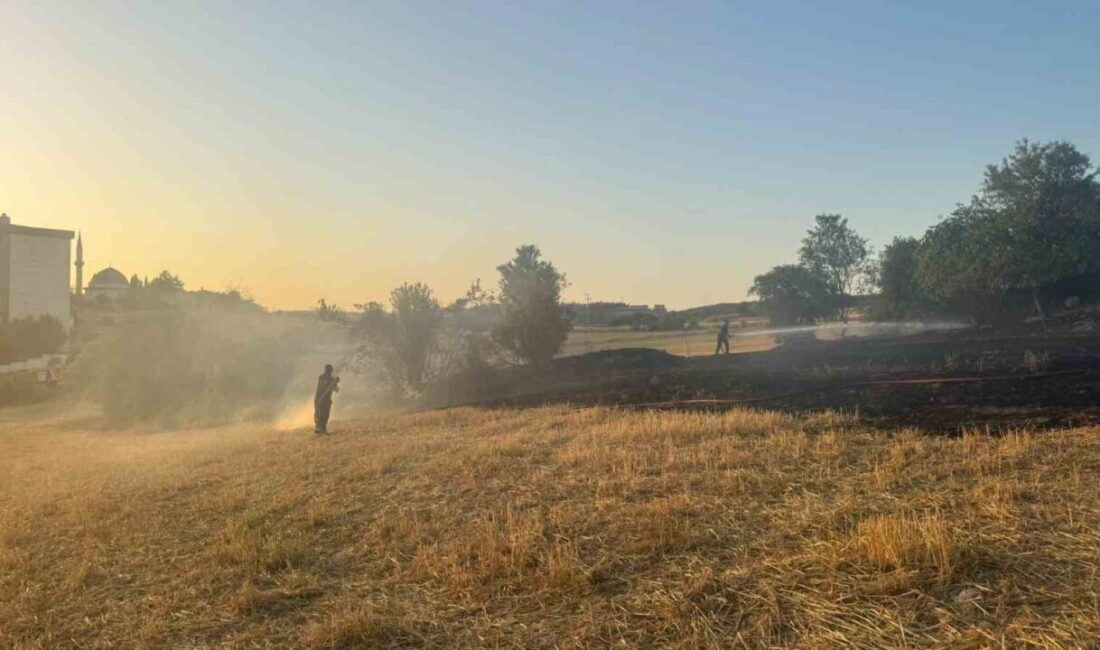 Bilecik’te çıkan arazi yangını yayılmadan kontrol altına alınırken, bölgede soğutma