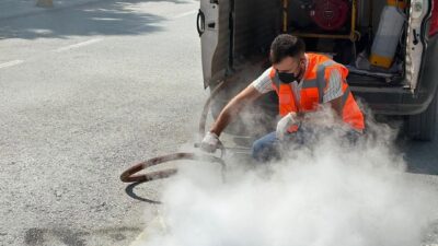 Bilecik’in Söğüt ilçesinde sivrisinek, karasinek ve larvalara yönelik ilaçlama çalışması
