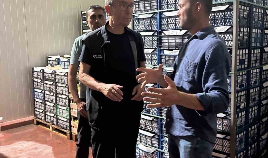 Bilecik’teki soğuk hava deposunda inceleme Bilecik İl Tarım ve Orman Müdürü Çetin Ayvalık, Osmaneli ilçesindeki