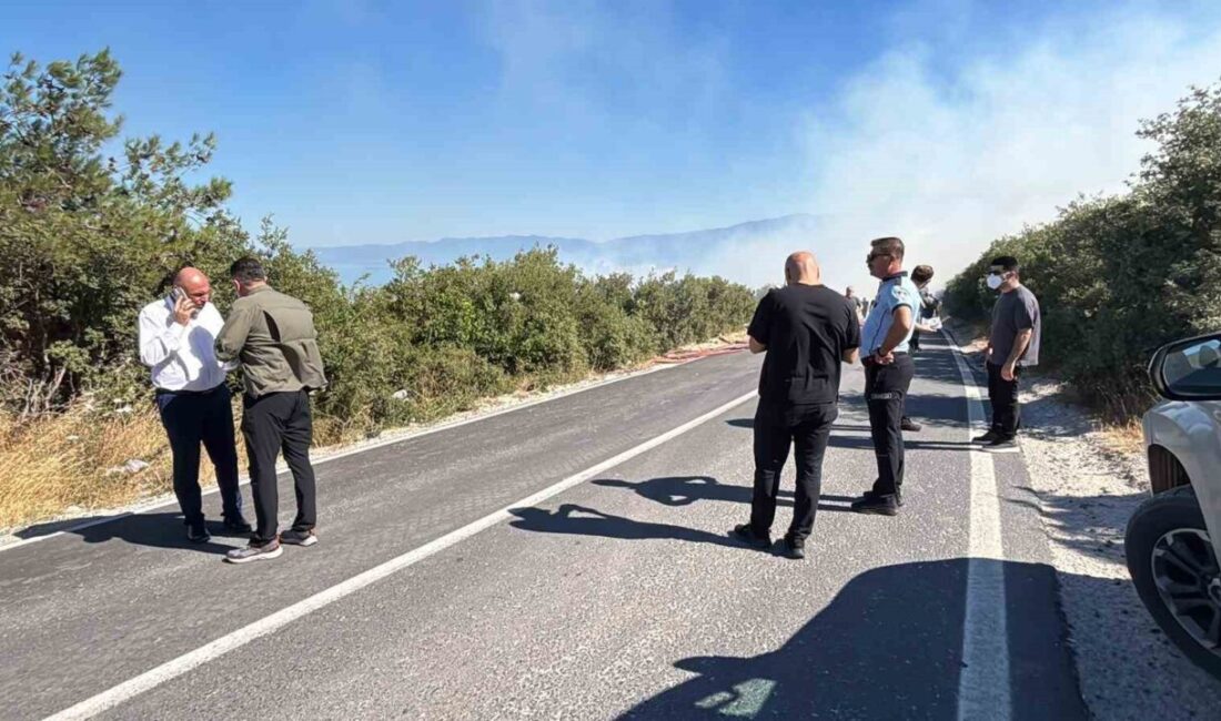 Bursa’da ormanlık alanda yangın çıktı Bursa’nın Orhangazi ilçesinde yerleşim alanının hemen yanındaki makilik alanda yangın