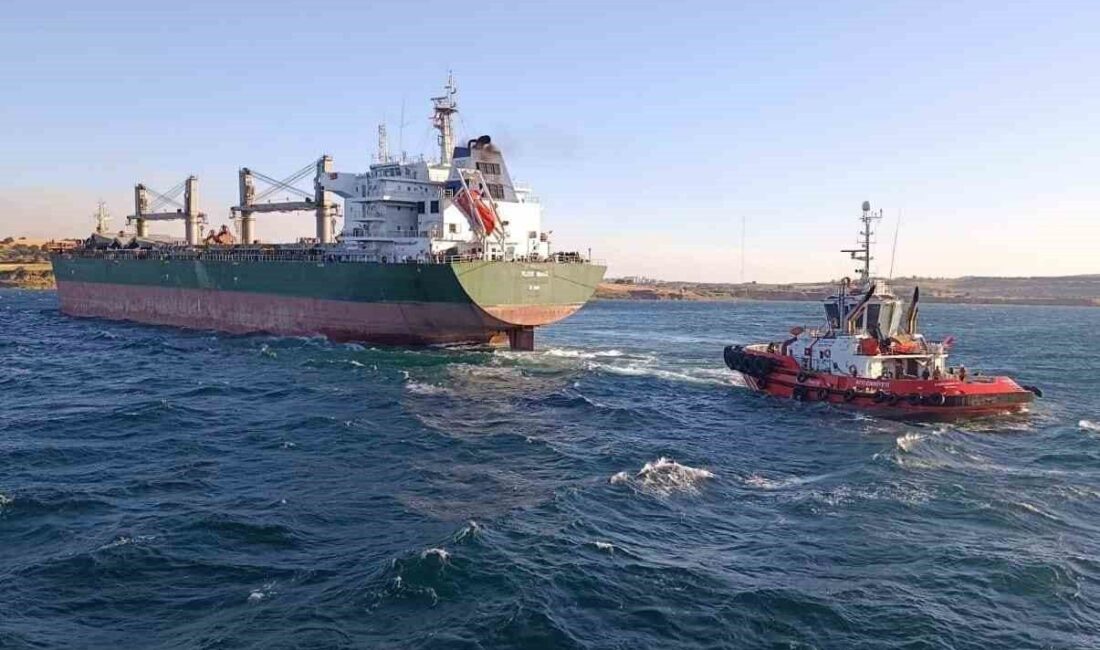 Çanakkale Boğazı’nda makine arızası nedeniyle dökme yük gemisi karaya oturdu.