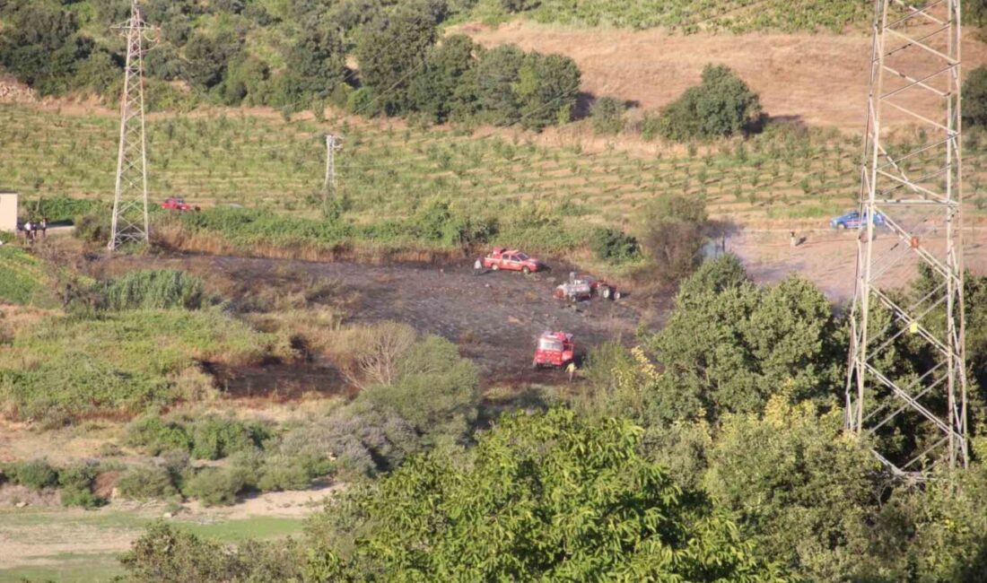 Çanakkale’de tarım arazisinde çıkan yangın kısa sürede kontrol altına alındı Çanakkale’nin Bayramiç ilçesinde tarım arazisinde başlayan yangına Orman Bölge Müdürlüğü