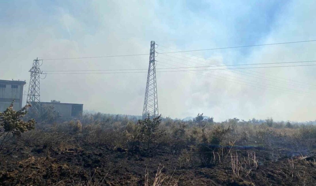 Çanakkale’de tarım arazisinde yangın Çanakkale’nin Biga ilçesinde tarım arazisinde çıkan yangına havadan ve karadan