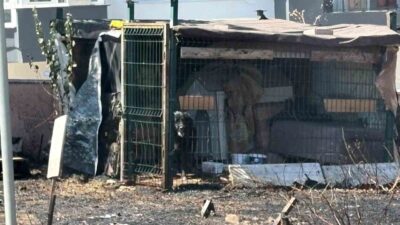 Çanakkale’de yol kenarında çıkan ot yangınında bölgedeki barakada kilitli olan