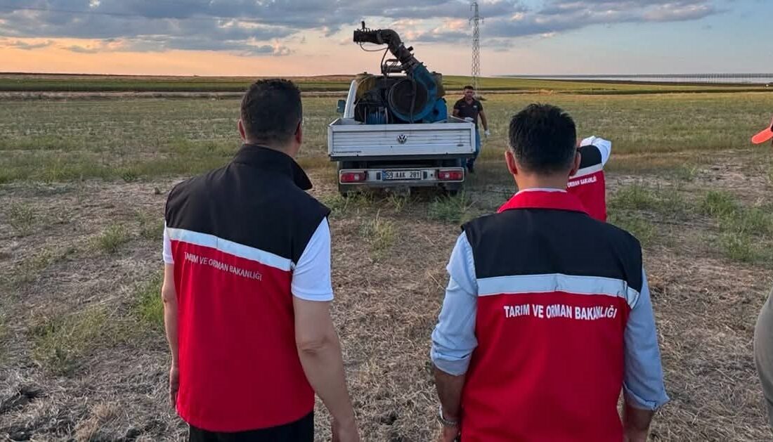 Tekirdağ’ın Muratlı ilçesinde çekirgelerin üreme alanı olarak bilinen merada yürütülen