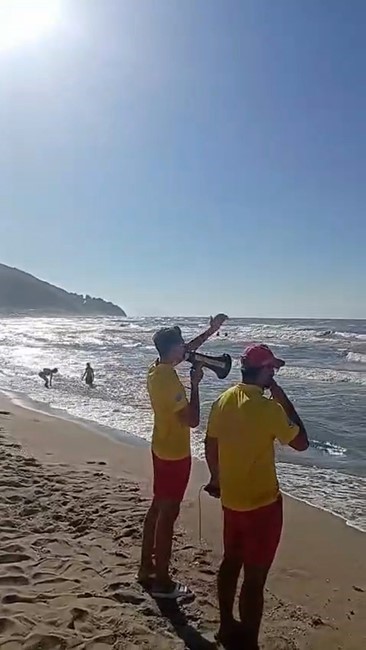 Dalgalara aldırış etmedi, cankurtaran ekiplerine zor anlar yaşattı Bursa’nın Karacabey ilçesinde denizin dalgalı olmasına rağmen bir vatandaş, cankurtaran