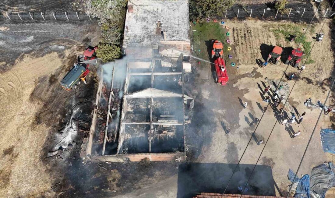 Edirne’nin Havsa ilçesine bağlı Osmanlı köyünde çıkan yangında bir çiftlik