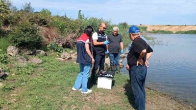 Edirne merkez ilçeye bağlı Korucu köyündeki gölette yaşanan balık ölümleri