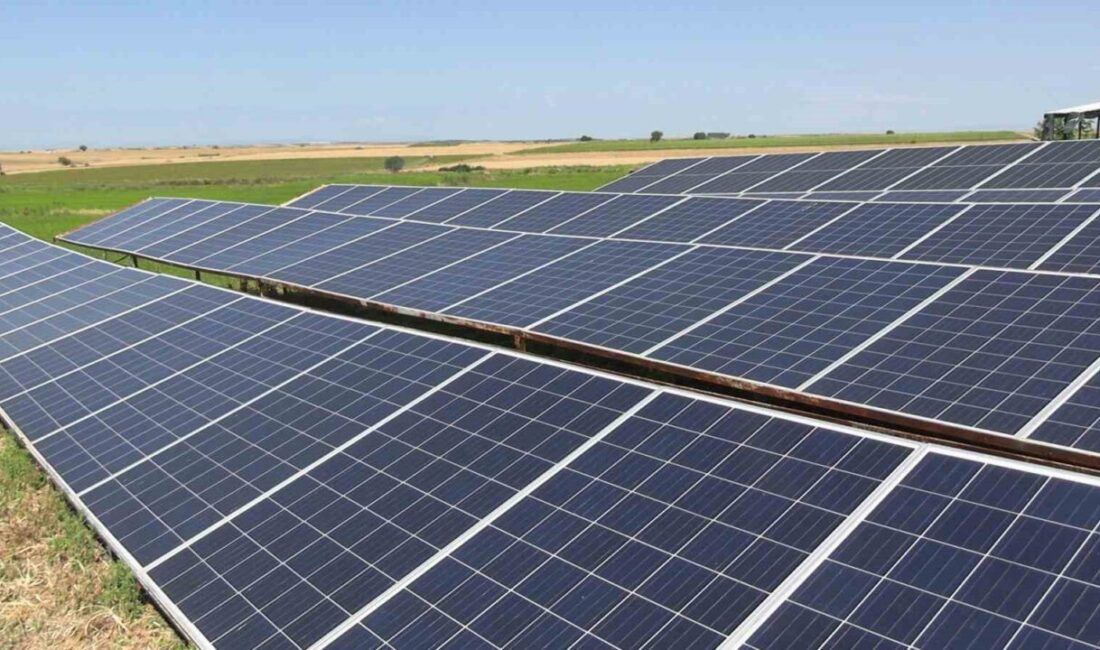 Edirne’nin Havsa ilçesi Şerbettar köyünde çiftçiler, tarımda örnek bir modele