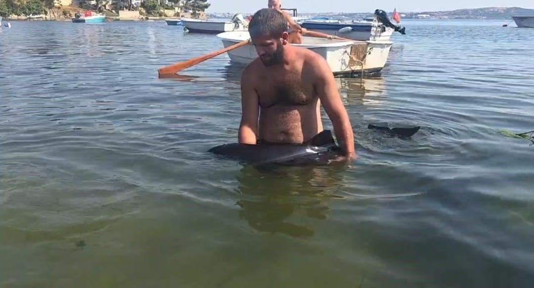 Balıkesir’in Erdek ilçesine bağlı Tatlısu Mahallesi Büyük Bakraç mevkiinde karaya